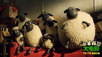 小羊爆料视频最新消息,最新视频揭露惊人内幕