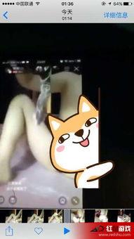 黄鳝门哪里能在线观看,揭秘网络热点的在线观看指南  第2张 黄鳝门哪里能在线观看,揭秘网络热点的在线观看指南  第2张