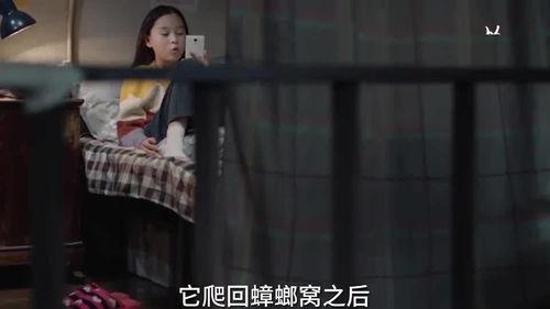 桃花孩子爆料视频大全集,揭秘幕后真相与精彩瞬间  第3张 桃花孩子爆料视频大全集,揭秘幕后真相与精彩瞬间  第3张